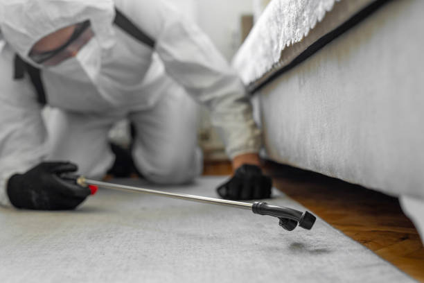 Professional Bed Bug Control technician working in Covina, CA