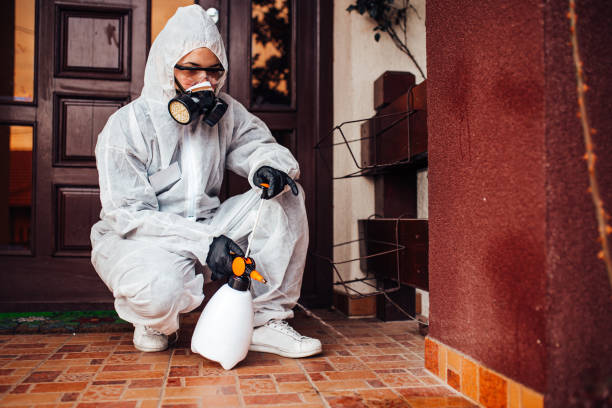 Reliable Bed Bug Control contractor in Covina, CA by Nex Pest Control